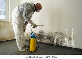 Mold Removal & Remediation